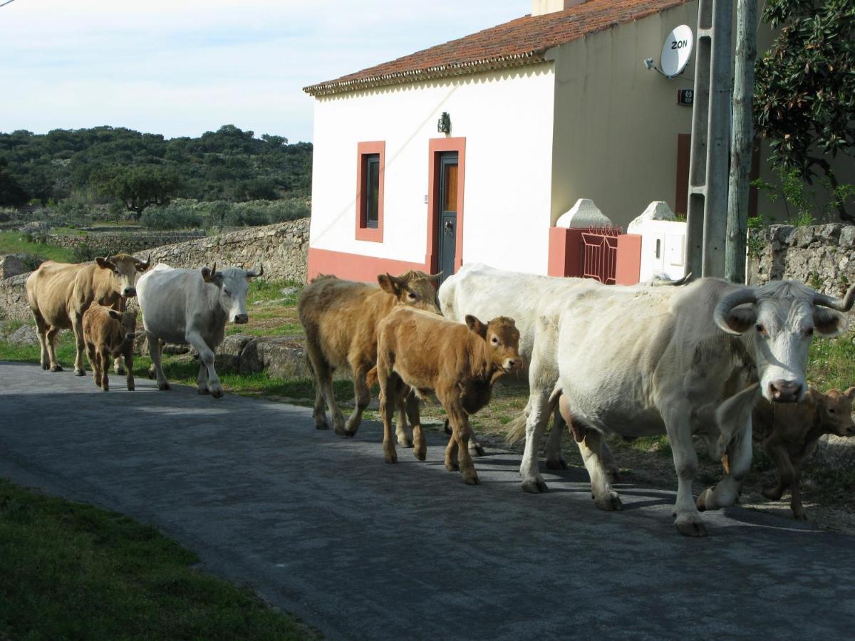 Casas Da Estacao, Country Houses Marvão 객실 사진